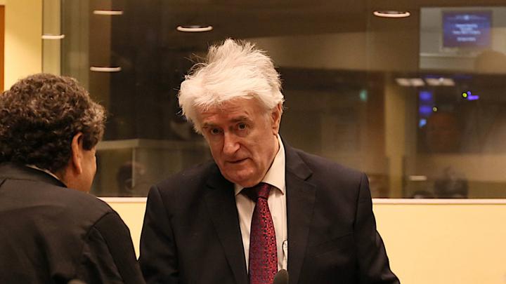 L’arrêt dans l’affaire Le Procureur c. Radovan Karadžić